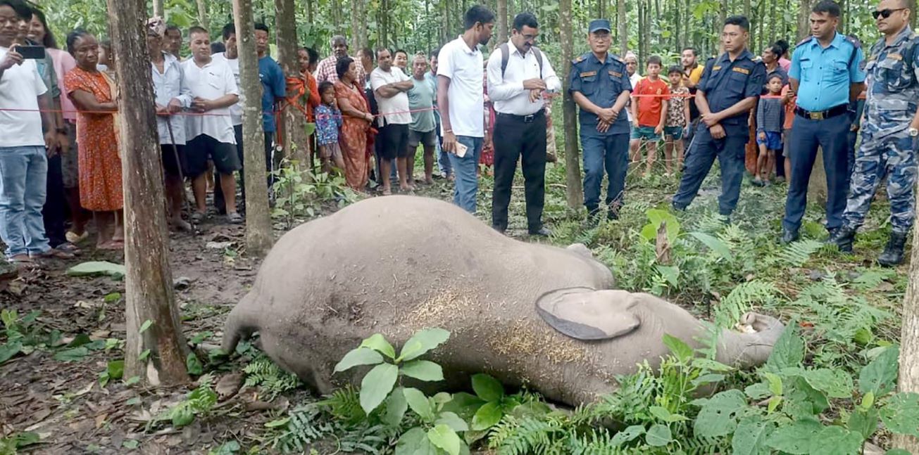 पासोको गलपासोमा परेका तेजबहादुर