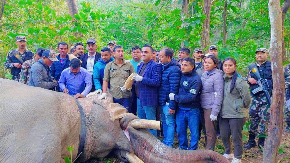 गोविन्देको घाँटीमा अब रेडियोकलर