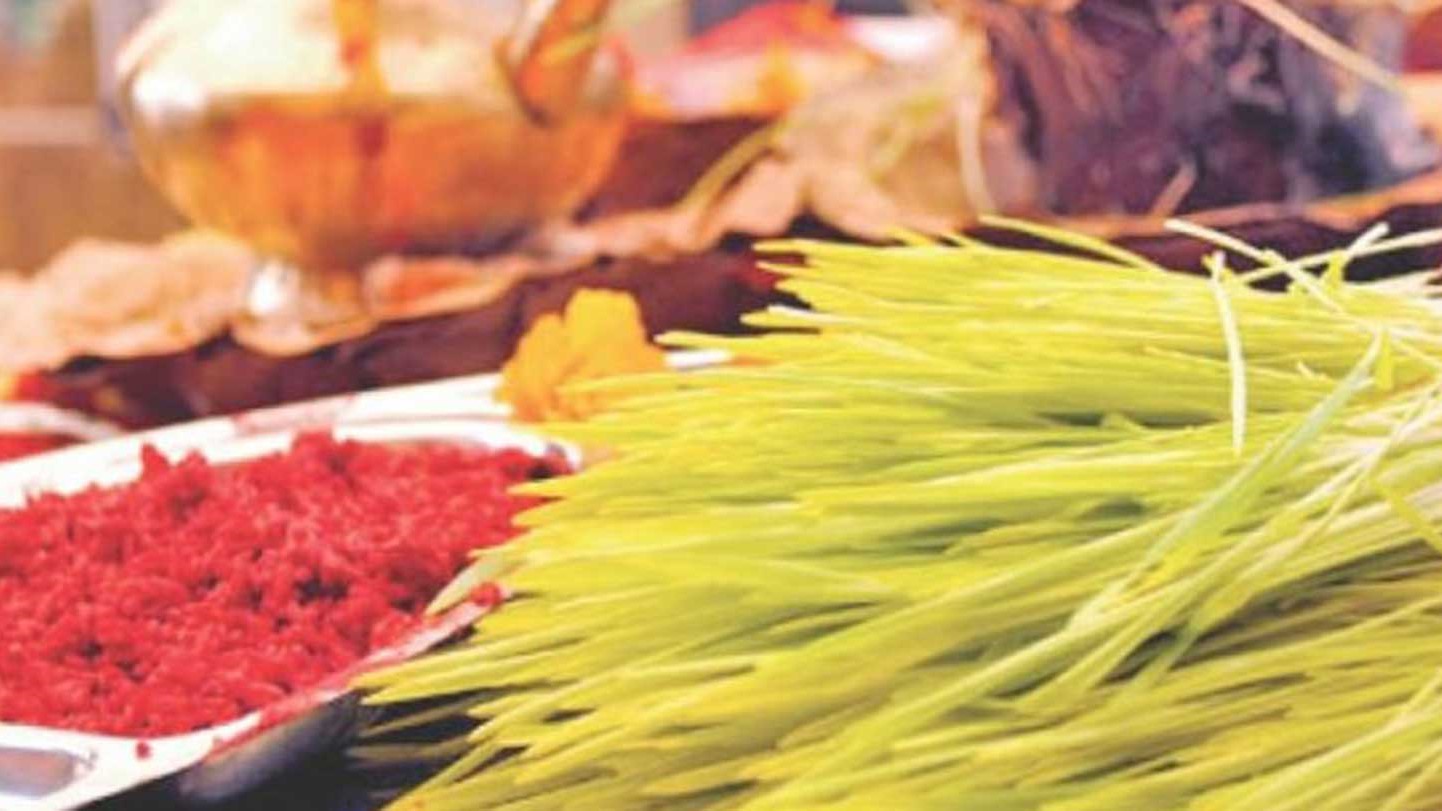 आज पनि मान्यजनबाट टीका र जमरा लगाउने क्रम जारी, पापाङ्कुशा एकादशीको व्रत पनि गरिँदै