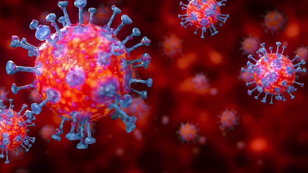 विर्तामोडकी एक महिलामा देखियो कोरोना संक्रमण, भेरियन्ट पत्ता लगाउन परीक्षण