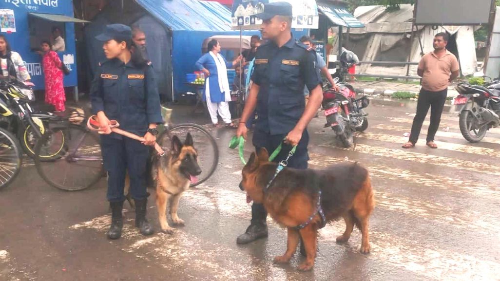 बन्दुक र लागुऔषध खोज्दै कुकुर