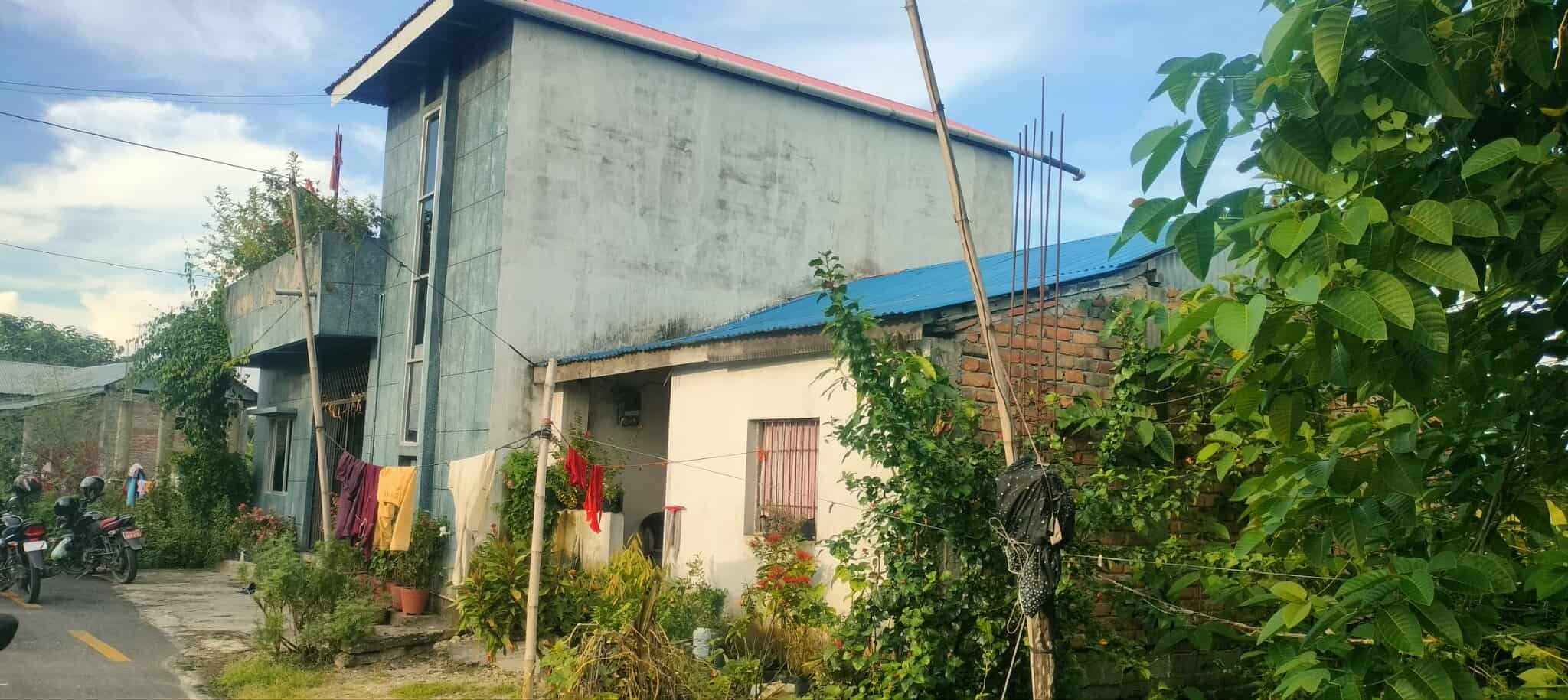 पिच बनेपछि अदालतको अवज्ञा