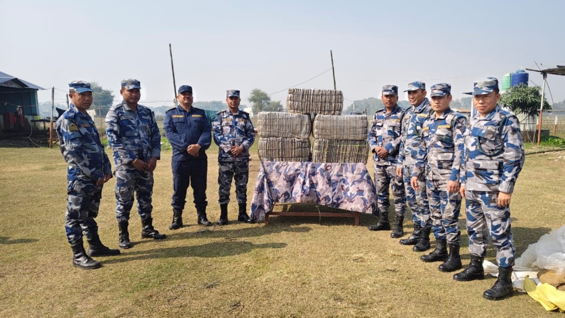 सिक्टीबाट १५५ किलो गाँजा बरामद