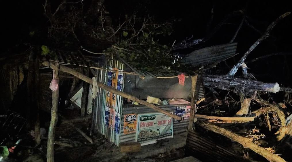 उदयपुरमा हावाहुरीले ढालेको रुखले किचेर दुईको मृत्यु