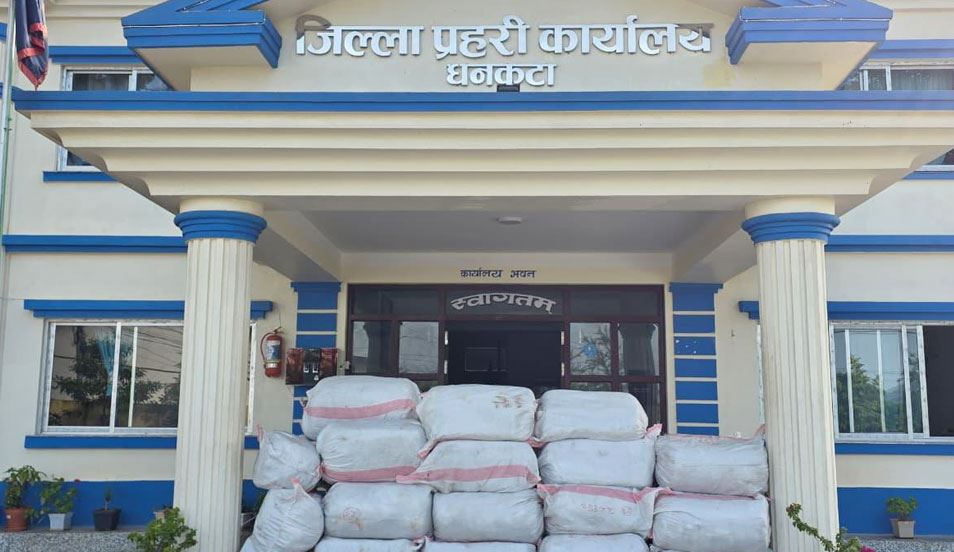 धनकुटामा एक हजार २४० किलो गाँजासहित ट्रक बरामद