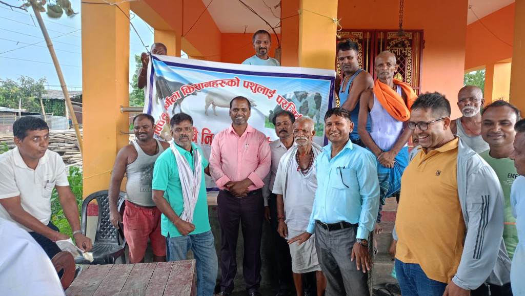 किसानलाई परजीवि नियन्त्रणको औषधि वितरण